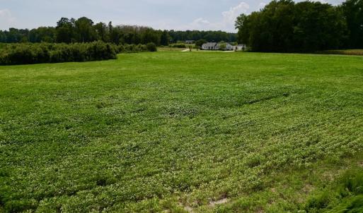 Photo #11 of SOLD property in Off Hwy 55, Dover, NC 14.1 acres
