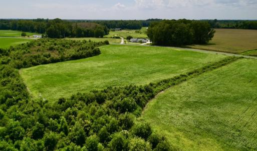 Photo #13 of SOLD property in Off Hwy 55, Dover, NC 14.1 acres