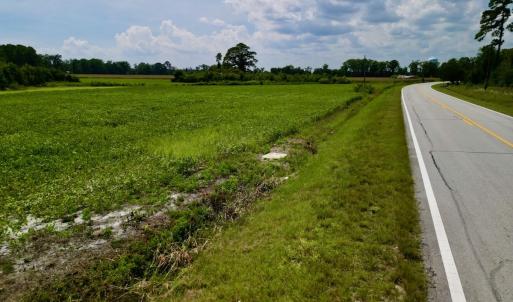 Photo #15 of SOLD property in Off Hwy 55, Dover, NC 14.1 acres