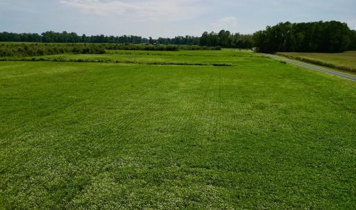 Photo #20 of SOLD property in Off Hwy 55, Dover, NC 14.1 acres