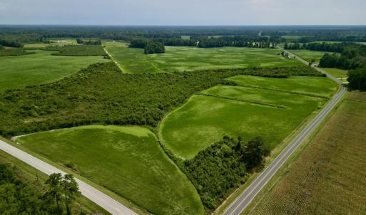 Photo #3 of SOLD property in Off Hwy 55, Dover, NC 14.1 acres
