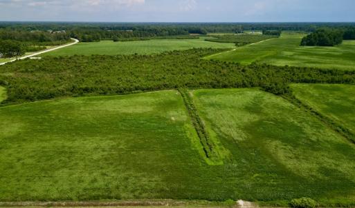 Photo #5 of SOLD property in Off Hwy 55, Dover, NC 14.1 acres