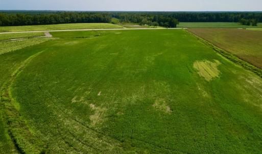 Photo #12 of SOLD property in Off Dover Fort Barnwell Rd, Dover, NC 32.0 acres