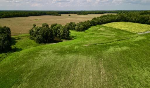 Photo #13 of SOLD property in Off Dover Fort Barnwell Rd, Dover, NC 32.0 acres
