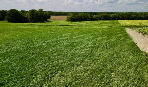 Photo #6 of SOLD property in Off Dover Fort Barnwell Rd, Dover, NC 32.0 acres