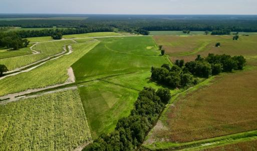 Photo #7 of SOLD property in Off Dover Fort Barnwell Rd, Dover, NC 32.0 acres