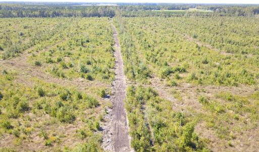 Photo #3 of 1115 Wilmar Rd, Vanceboro, NC 166.0 acres