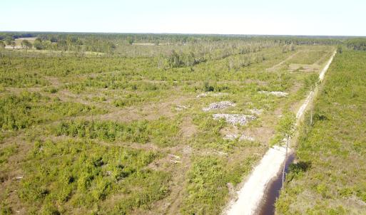 Photo #4 of 1115 Wilmar Rd, Vanceboro, NC 166.0 acres