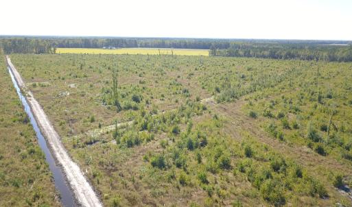 Photo #5 of 1115 Wilmar Rd, Vanceboro, NC 166.0 acres