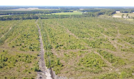 Photo #6 of 1115 Wilmar Rd, Vanceboro, NC 166.0 acres