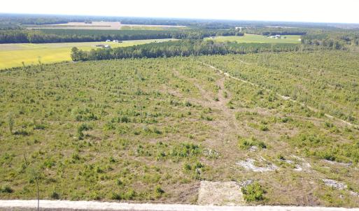 Photo #8 of 1115 Wilmar Rd, Vanceboro, NC 166.0 acres