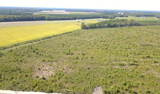 Photo #9 of 1115 Wilmar Rd, Vanceboro, NC 166.0 acres