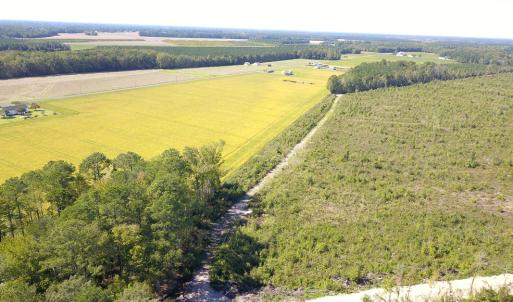 Photo #10 of 1115 Wilmar Rd, Vanceboro, NC 166.0 acres