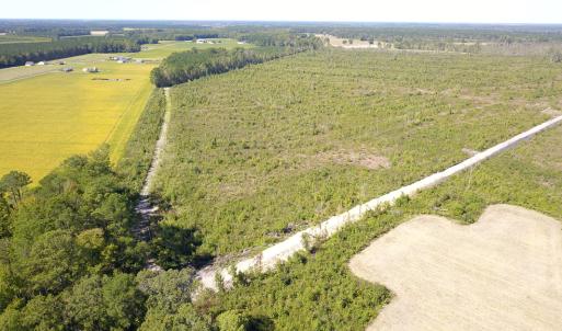 Photo #11 of 1115 Wilmar Rd, Vanceboro, NC 166.0 acres