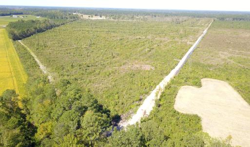 Photo #12 of 1115 Wilmar Rd, Vanceboro, NC 166.0 acres