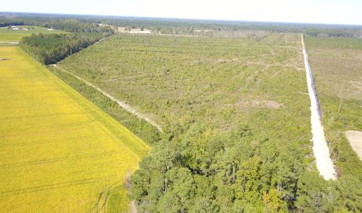 Photo #13 of 1115 Wilmar Rd, Vanceboro, NC 166.0 acres