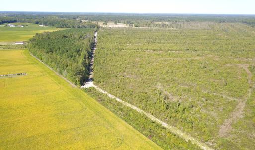 Photo #14 of 1115 Wilmar Rd, Vanceboro, NC 166.0 acres