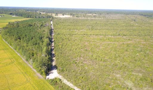 Photo #15 of 1115 Wilmar Rd, Vanceboro, NC 166.0 acres