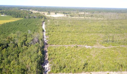 Photo #16 of 1115 Wilmar Rd, Vanceboro, NC 166.0 acres