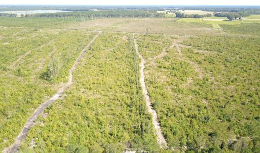 Photo #17 of 1115 Wilmar Rd, Vanceboro, NC 166.0 acres