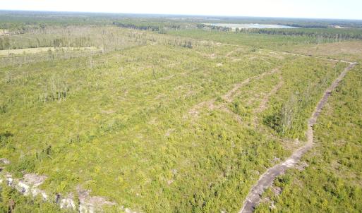 Photo #18 of 1115 Wilmar Rd, Vanceboro, NC 166.0 acres