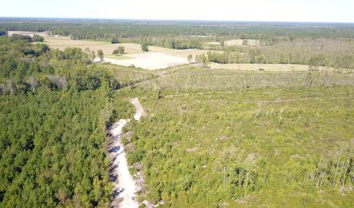 Photo #19 of 1115 Wilmar Rd, Vanceboro, NC 166.0 acres