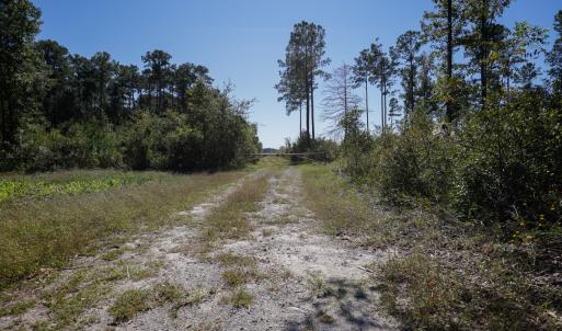 Photo #1 of 1115 Wilmar Rd, Vanceboro, NC 166.0 acres