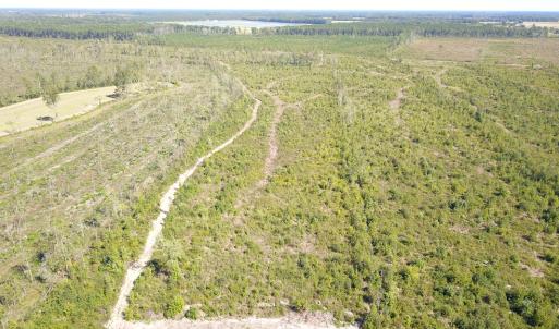 Photo #20 of 1115 Wilmar Rd, Vanceboro, NC 166.0 acres