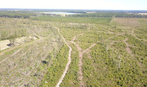 Photo #22 of 1115 Wilmar Rd, Vanceboro, NC 166.0 acres