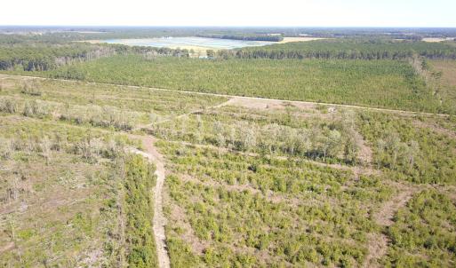 Photo #23 of 1115 Wilmar Rd, Vanceboro, NC 166.0 acres