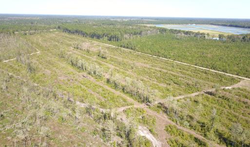 Photo #24 of 1115 Wilmar Rd, Vanceboro, NC 166.0 acres