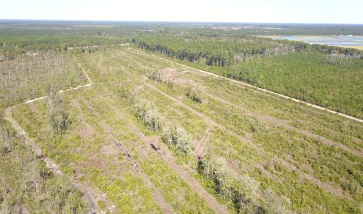 Photo #25 of 1115 Wilmar Rd, Vanceboro, NC 166.0 acres
