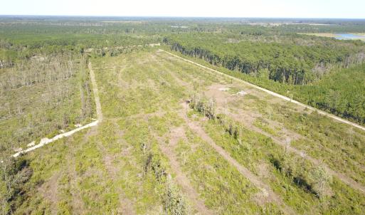 Photo #26 of 1115 Wilmar Rd, Vanceboro, NC 166.0 acres