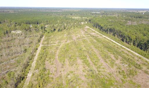 Photo #27 of 1115 Wilmar Rd, Vanceboro, NC 166.0 acres