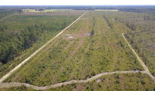 Photo #28 of 1115 Wilmar Rd, Vanceboro, NC 166.0 acres