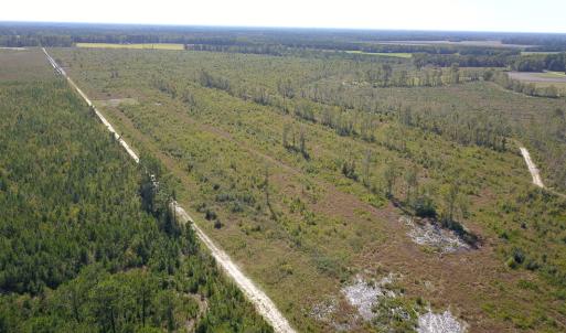 Photo #30 of 1115 Wilmar Rd, Vanceboro, NC 166.0 acres