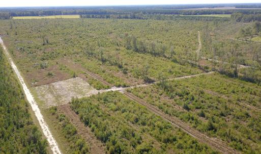 Photo #31 of 1115 Wilmar Rd, Vanceboro, NC 166.0 acres