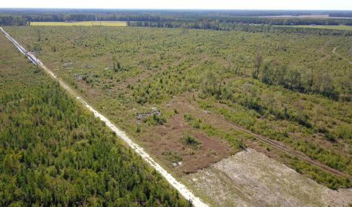 Photo #33 of 1115 Wilmar Rd, Vanceboro, NC 166.0 acres
