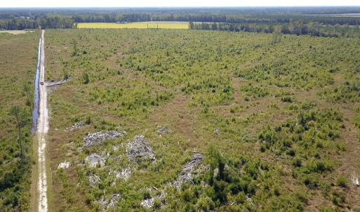 Photo #34 of 1115 Wilmar Rd, Vanceboro, NC 166.0 acres
