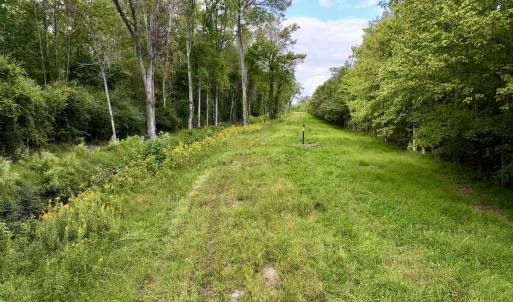 Photo #12 of SOLD property in Off Van Gert Rd, Winterville, NC 29.3 acres
