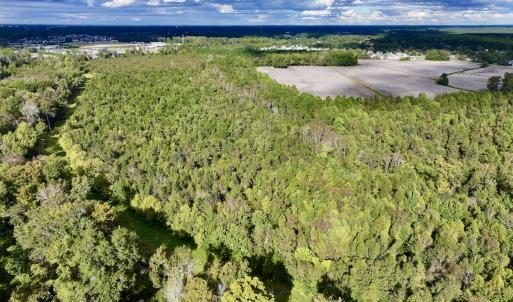 Photo #3 of SOLD property in Off Van Gert Rd, Winterville, NC 29.3 acres