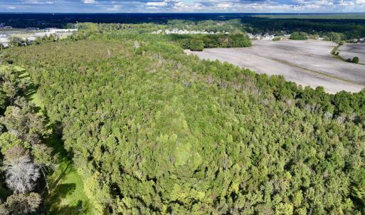 Photo #4 of SOLD property in Off Van Gert Rd, Winterville, NC 29.3 acres