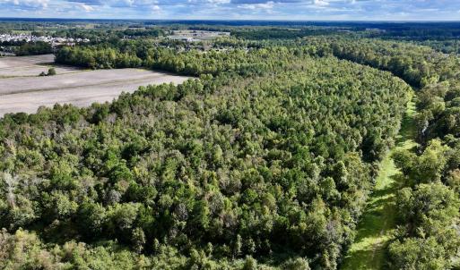 Photo #5 of SOLD property in Off Van Gert Rd, Winterville, NC 29.3 acres