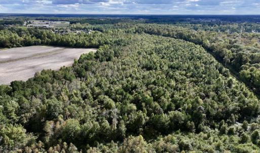 Photo #6 of SOLD property in Off Van Gert Rd, Winterville, NC 29.3 acres