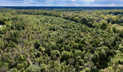 Photo #7 of SOLD property in Off Van Gert Rd, Winterville, NC 29.3 acres