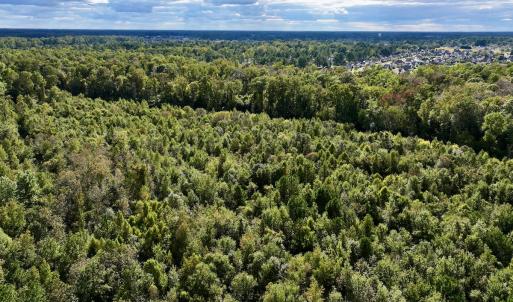 Photo #8 of SOLD property in Off Van Gert Rd, Winterville, NC 29.3 acres