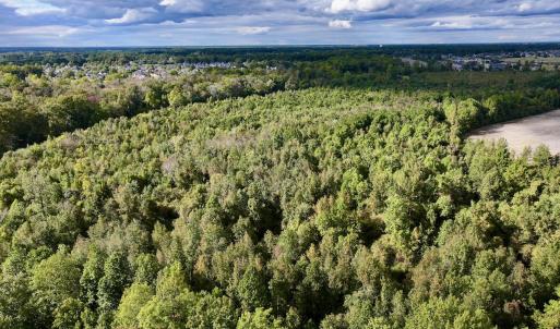 Photo #9 of SOLD property in Off Van Gert Rd, Winterville, NC 29.3 acres
