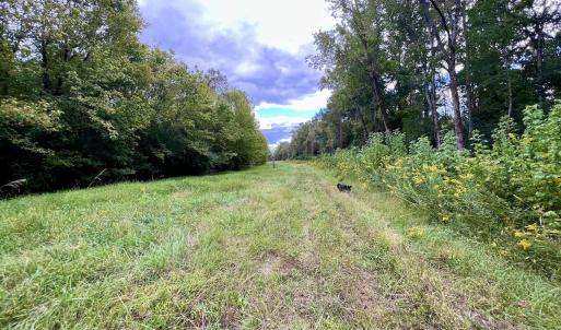 Photo #27 of SOLD property in Off Van Gert Rd, Winterville, NC 29.3 acres