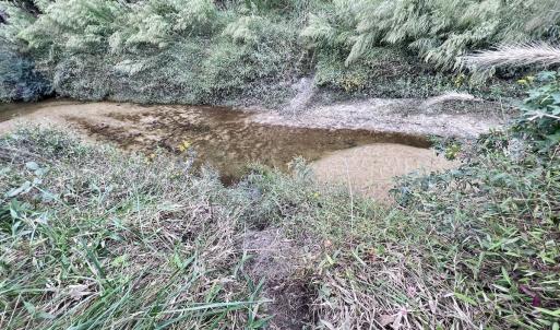 Photo #29 of SOLD property in Off Van Gert Rd, Winterville, NC 29.3 acres