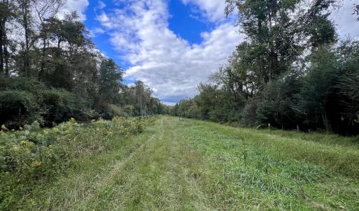 Photo #30 of SOLD property in Off Van Gert Rd, Winterville, NC 29.3 acres